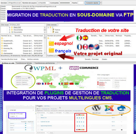 translation web